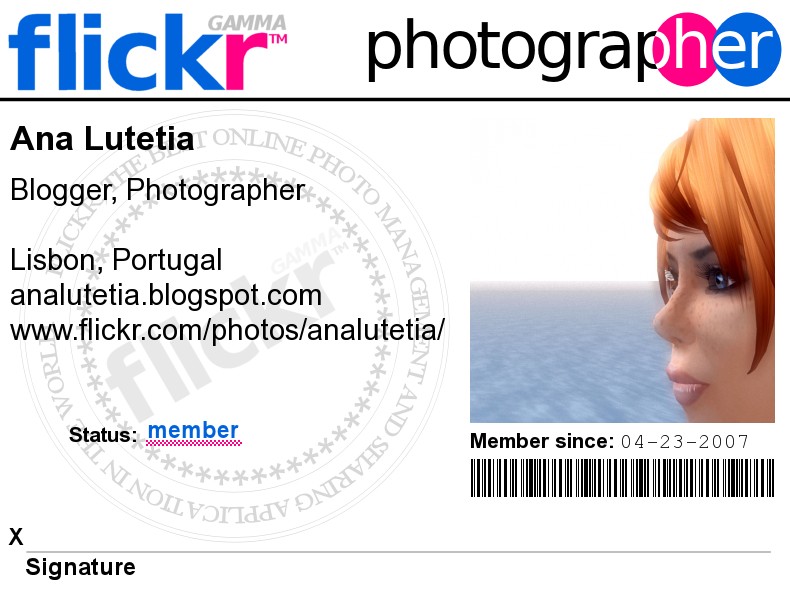 flickr badge